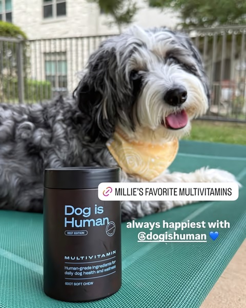 A high-trust lifestyle image featuring a happy dog with a branded supplement jar, using soft, natural lighting to convey product reliability.